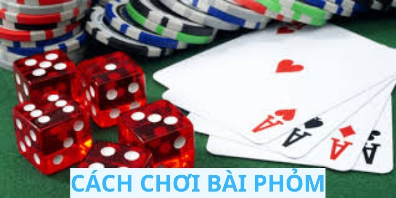Cách Chơi Bài Phỏm Đỉnh Cao – Chuẩn Xác Cho Dân Sành Bài