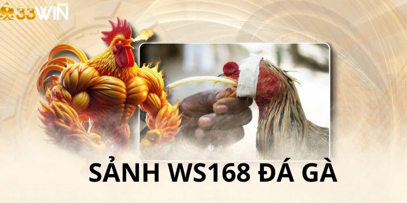 Chiến lược cá cược tăng xác suất chiến thắng