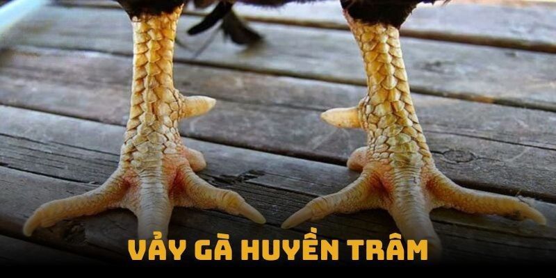 Hướng dẫn xem vảy huyền trâm chuẩn xác cho người mới