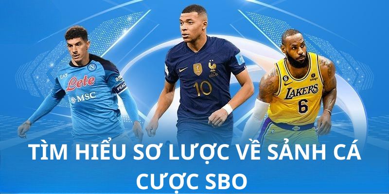 Tìm hiểu sơ lược về sảnh cá cược SBO 